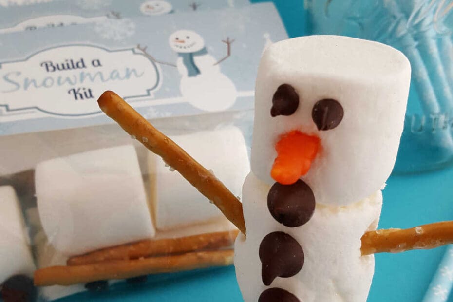 Build A Snowman Kit