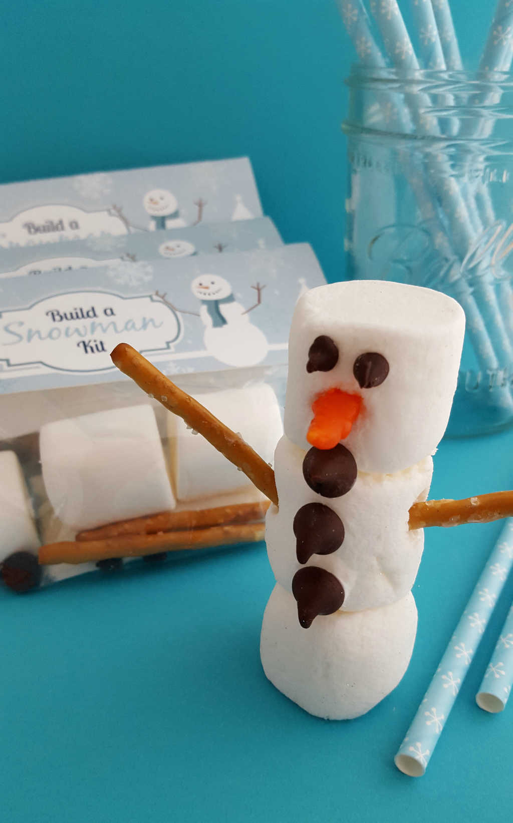 Build A Snowman Kit
