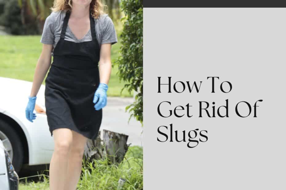 How To Get Rid Of Slugs